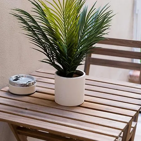 Vendégház Provenzale Casa