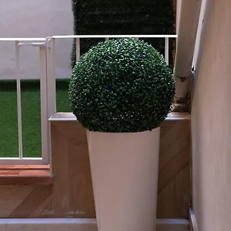 Provenzale Casa 4* Firenze